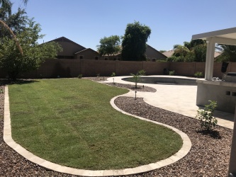 Chandler Landscape Design-new backyard-Barrett (1)