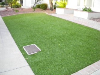 Arizona Landscape Design Artificial Grass