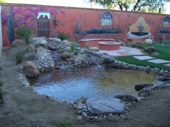 Arizona Backyard Design Water Feature