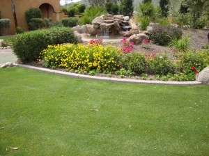 Choosing the Perfect Design for Your Arizona Backyard ...