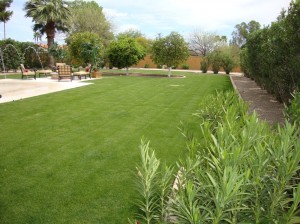 Scottsdale Landscape Design